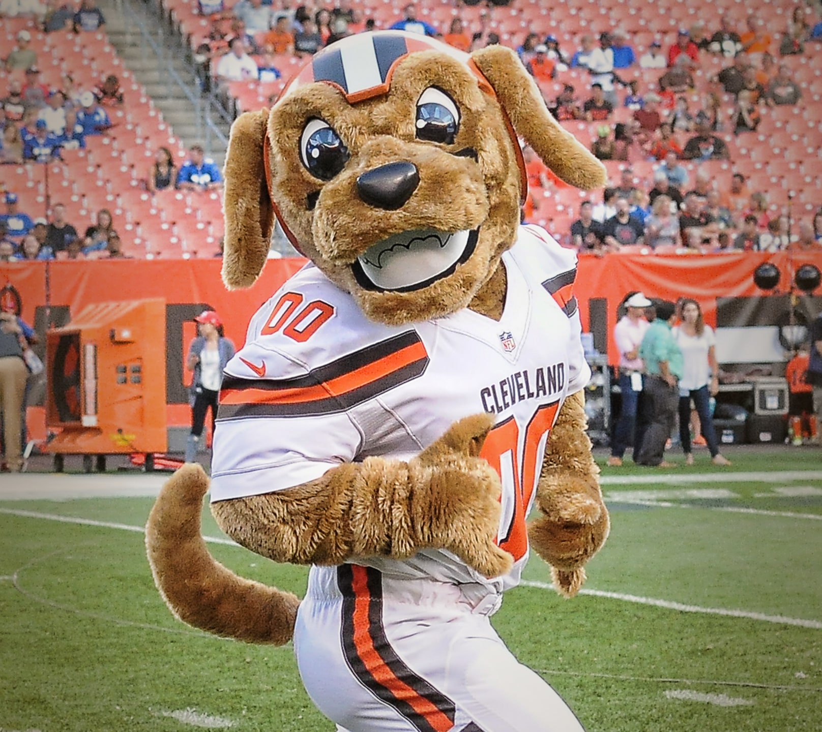 【チーム紹介】クリーブランド・ブラウンズ Cleveland Browns NFL完全ガイド!