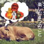 【2021年版】どう過ごす？オフシーズンの４つの楽しみ方！！