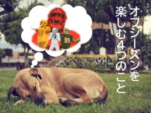 【2021年版】どう過ごす?オフシーズンの4つの楽しみ方!!