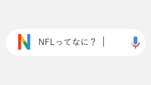 【ガイドブック】NFL初心者向け|サクッと分かるNFLの基本情報