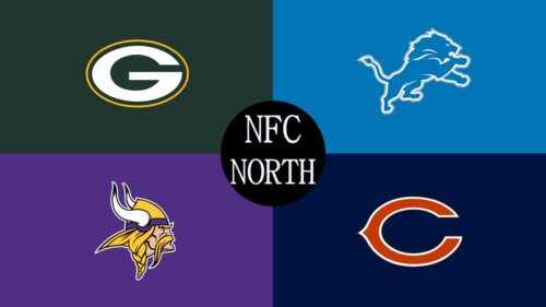 2020シーズン結果まとめ｜NFC北地区の振り返り！